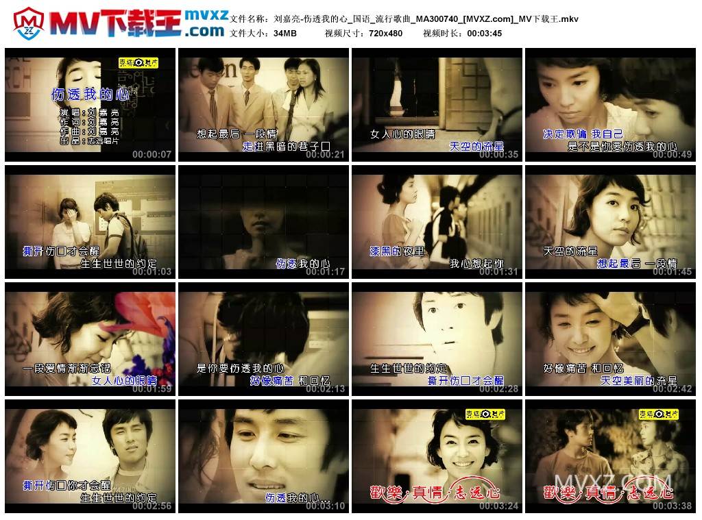 刘嘉亮-伤透我的心_国语_流行歌曲_MA300740